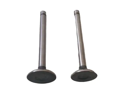 Intake & Exhaust Valve Set for Robin EH12 EH09 ER12 Engine Tamping Rammer Jumping Jack Parts