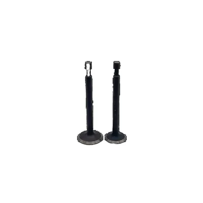 Robin EY20 EY15 EY28 Intake Valve Exhaust Valves Set for Construction