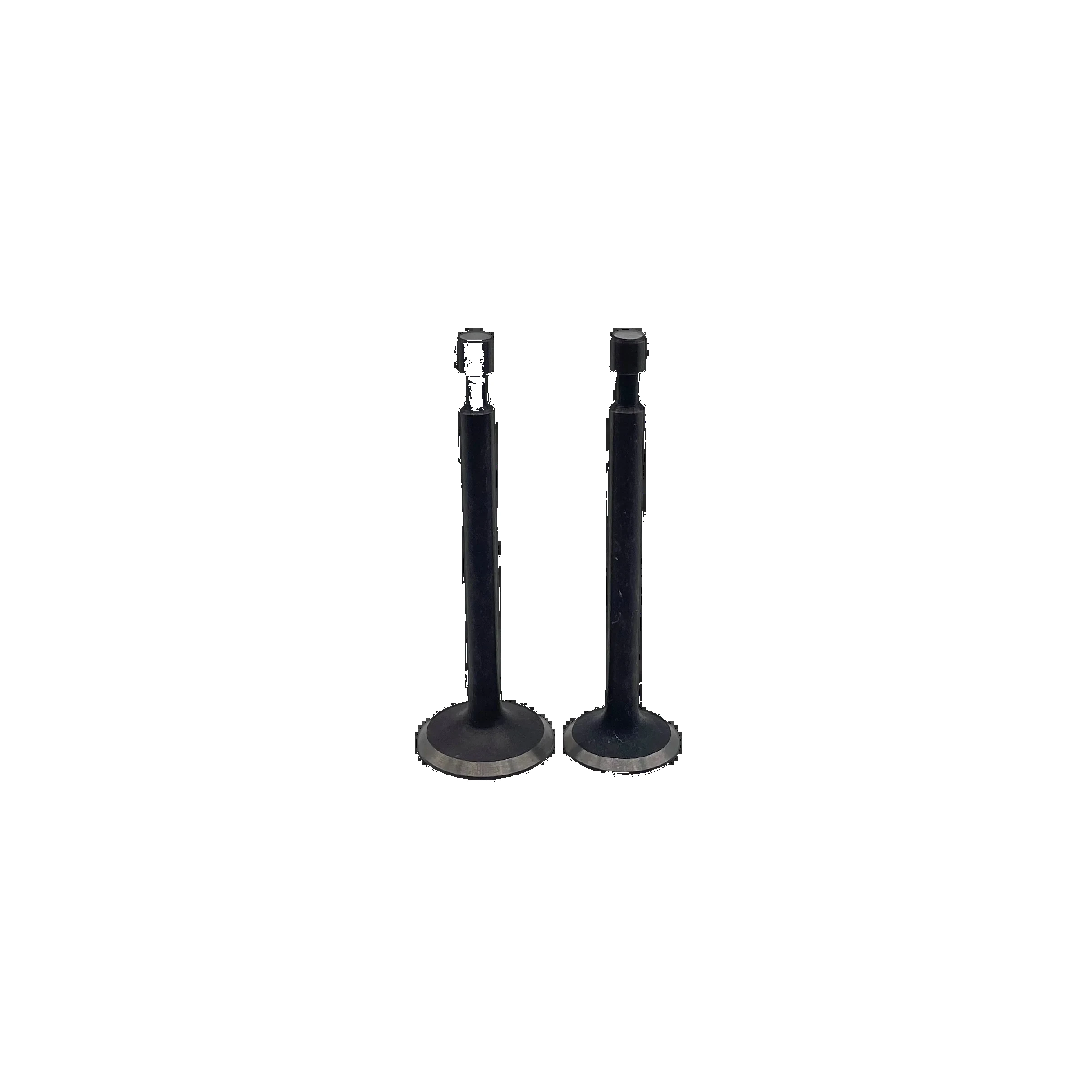 Robin EY20 EY15 EY28 Intake Valve Exhaust Valves Set for Construction